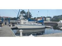 Hunter Legend 31