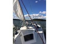 catalina 320