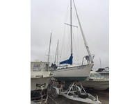 Ranger Tall Mast