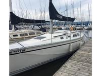 Hunter Legend 35.5