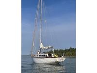 Allied Seabreeze
