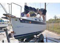 Hake Seaward 23