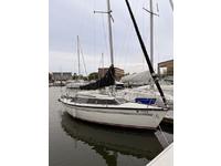 DuFour 1800/25