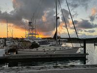 Island Packet 45