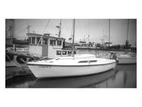  Eureka California 26 Macgregor 26