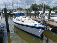 1985 Tracys Landing Maryland 31.00 Irwin Citation 31